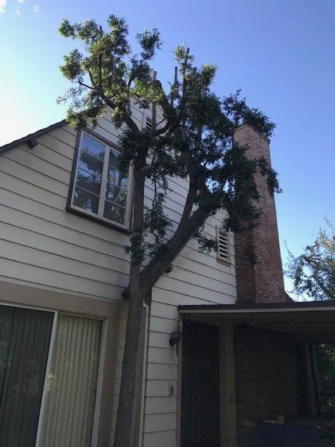 Gallery image 20