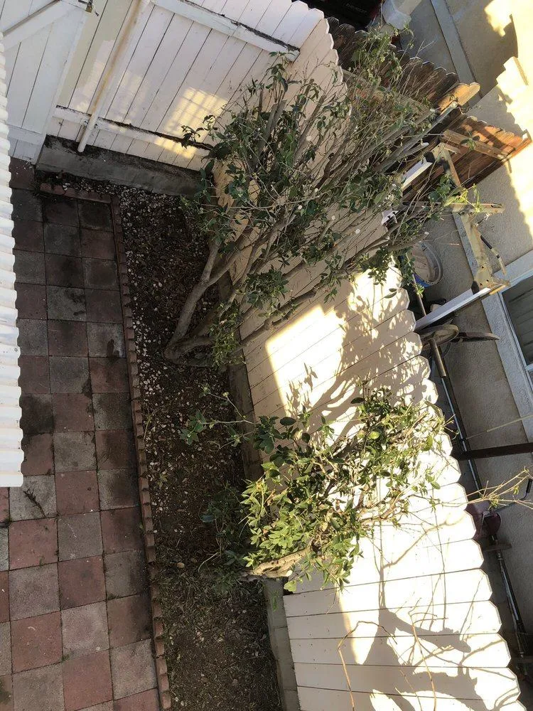 Gallery image 27