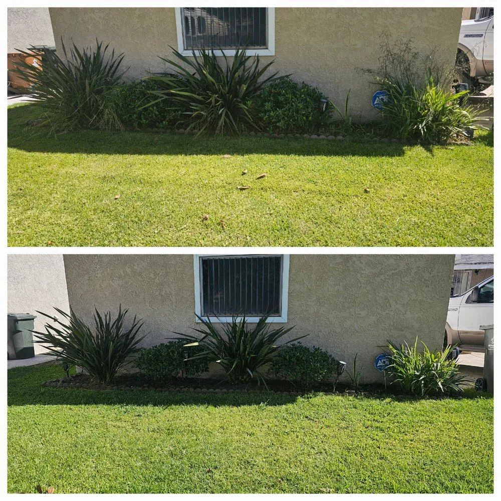 Gallery image 53