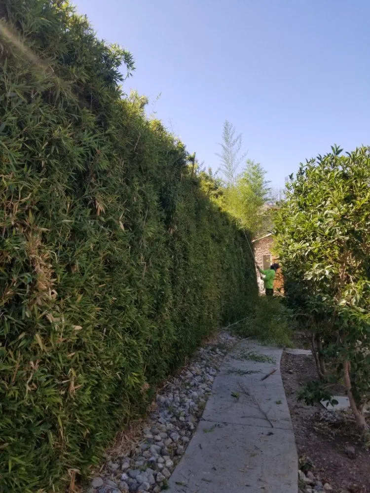 Gallery image 101