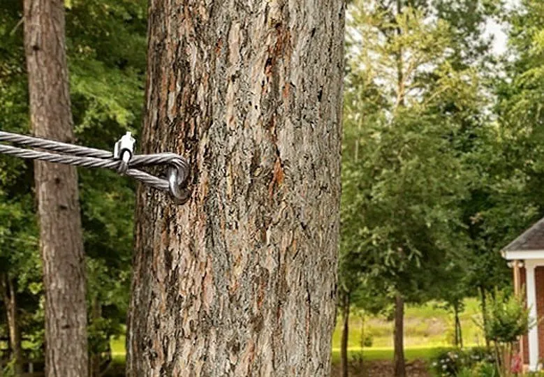 Tree Cabling