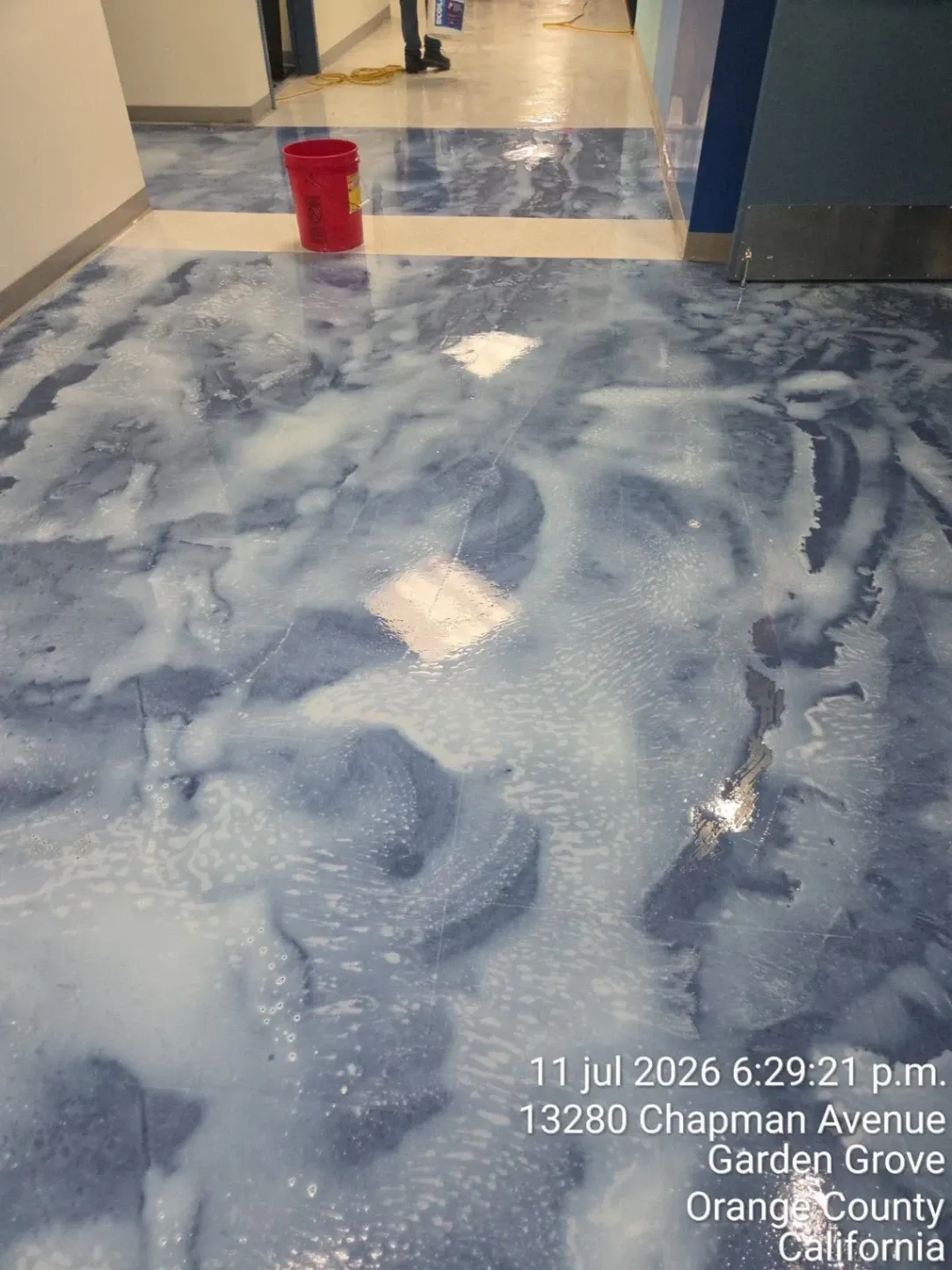 Gallery image 361