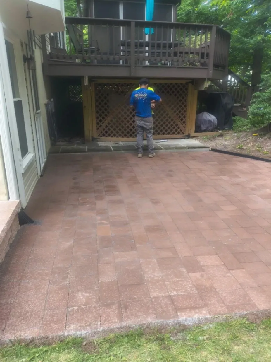 Gallery image 115