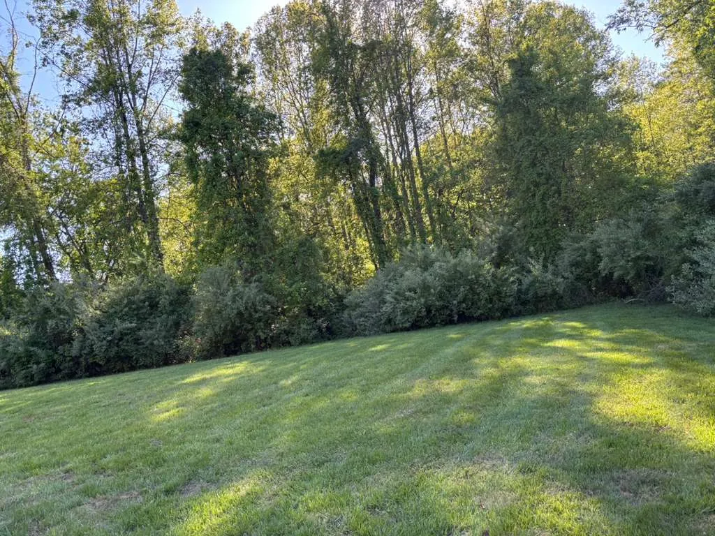 Gallery image 15