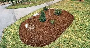 Mulch Installation
