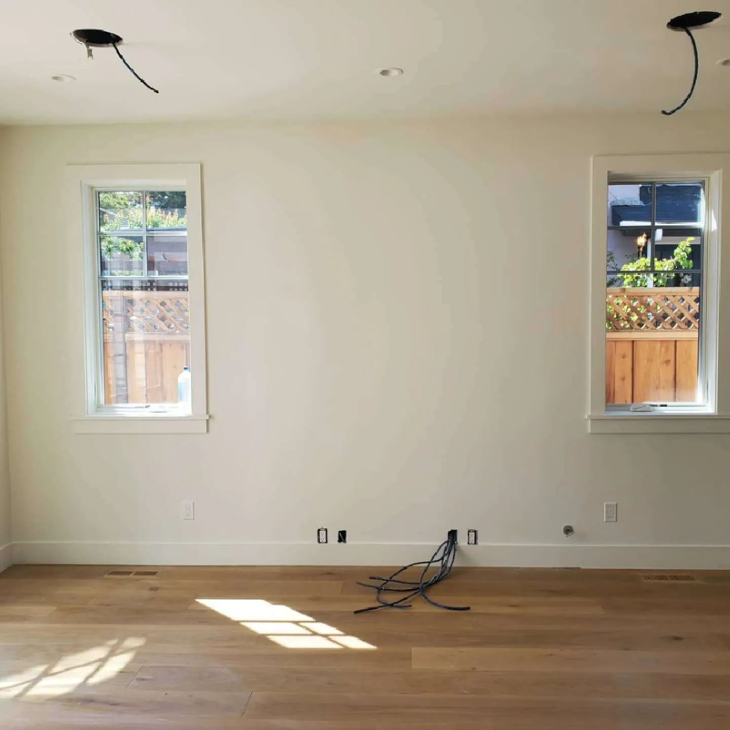 Aliya's Custom Painting