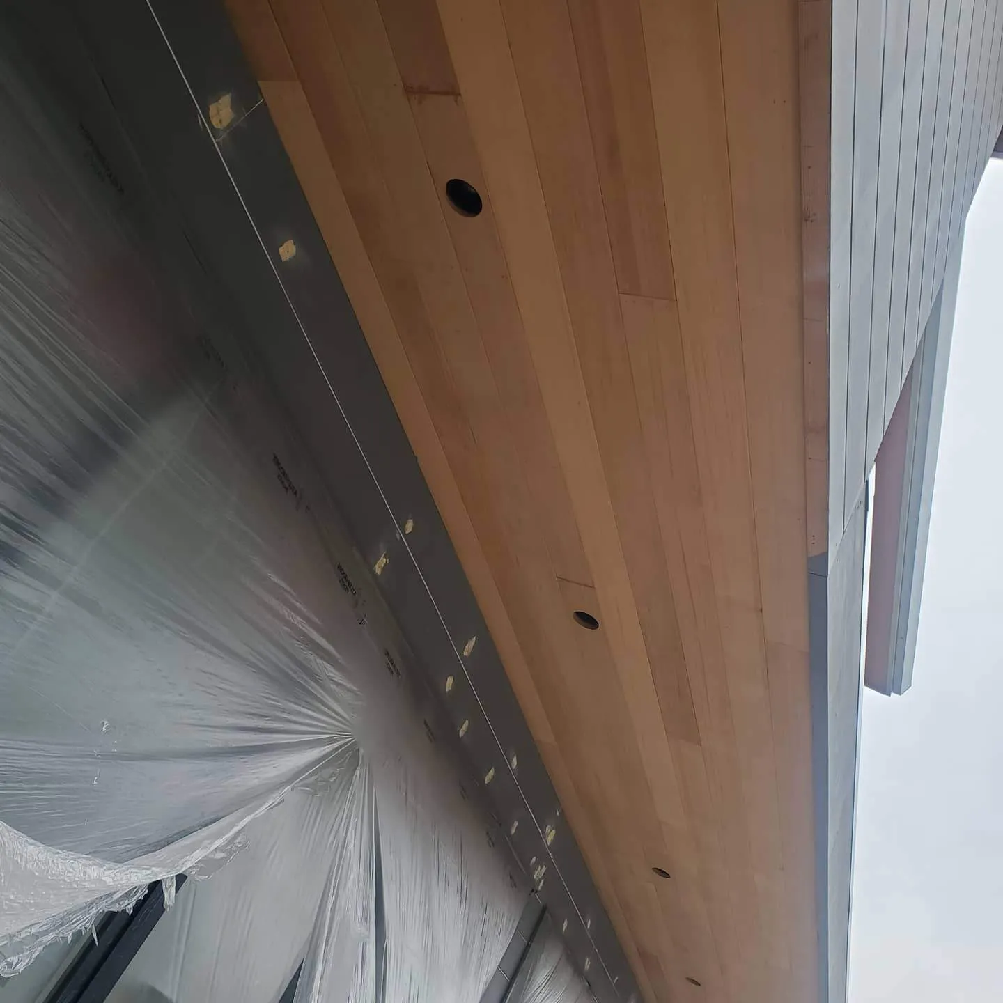 Aliya's Custom Painting