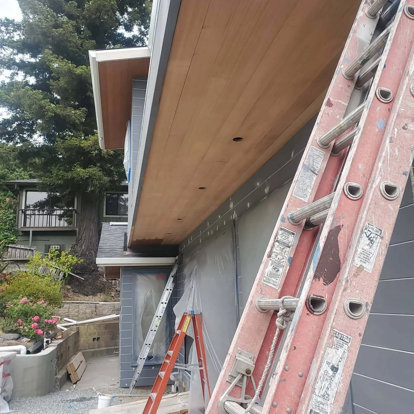 Aliya's Custom Painting