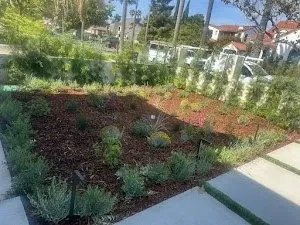 Gallery image 0