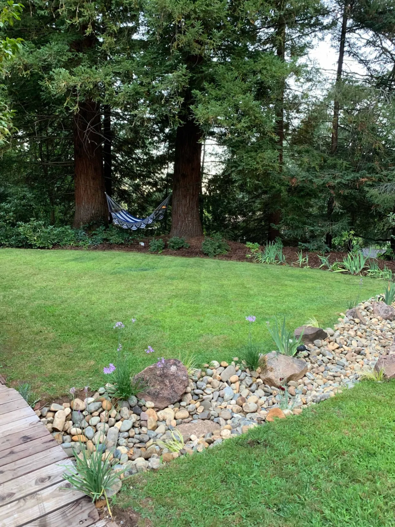 Gallery image 69