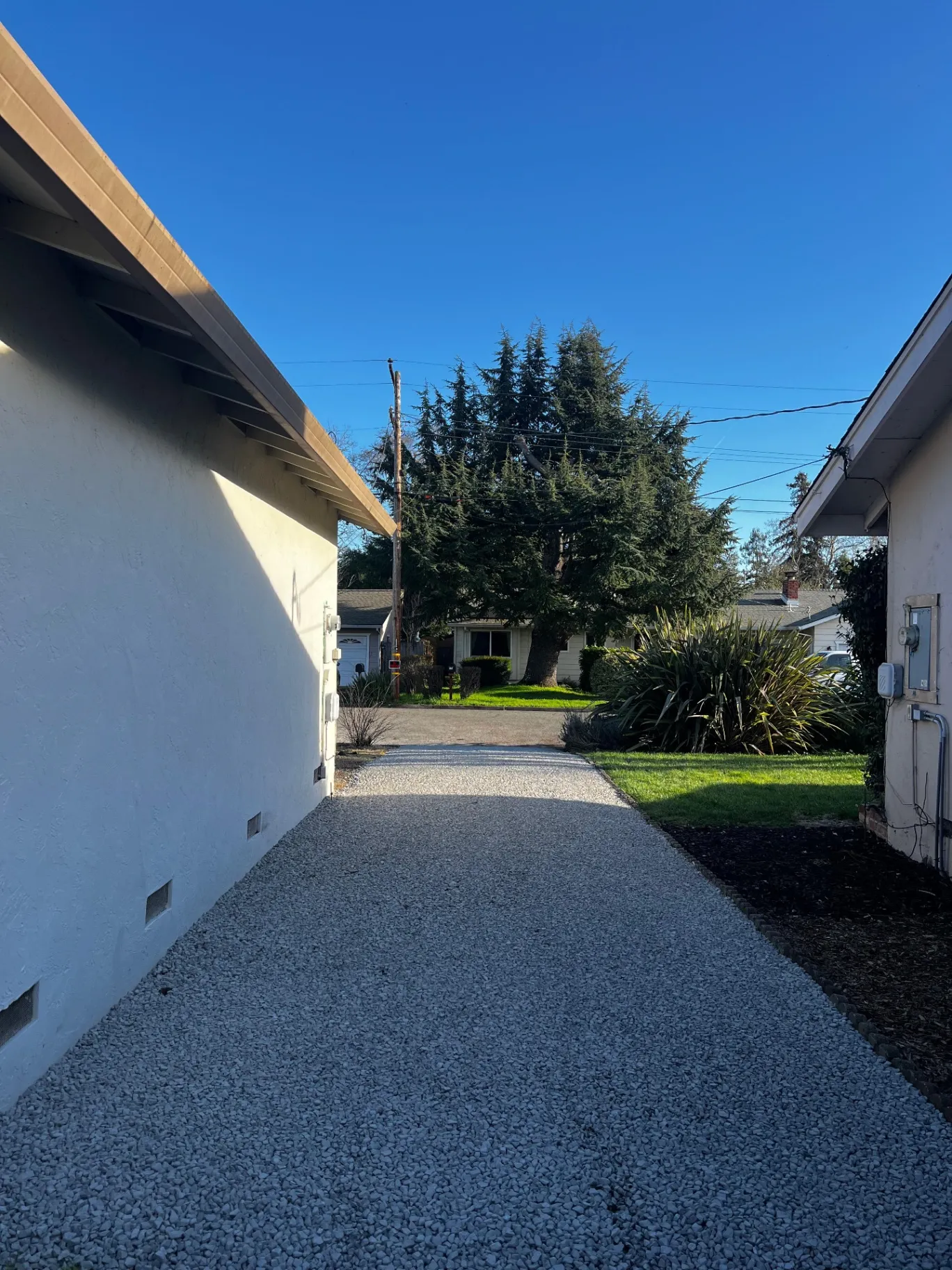 Gallery image 209