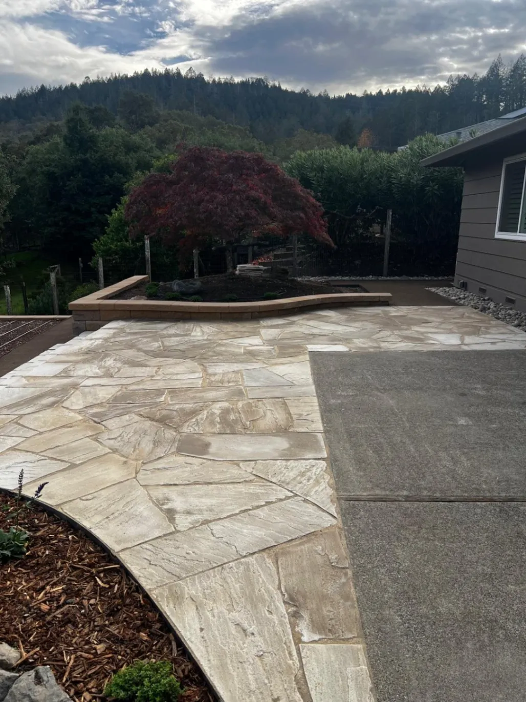 Gallery image 187