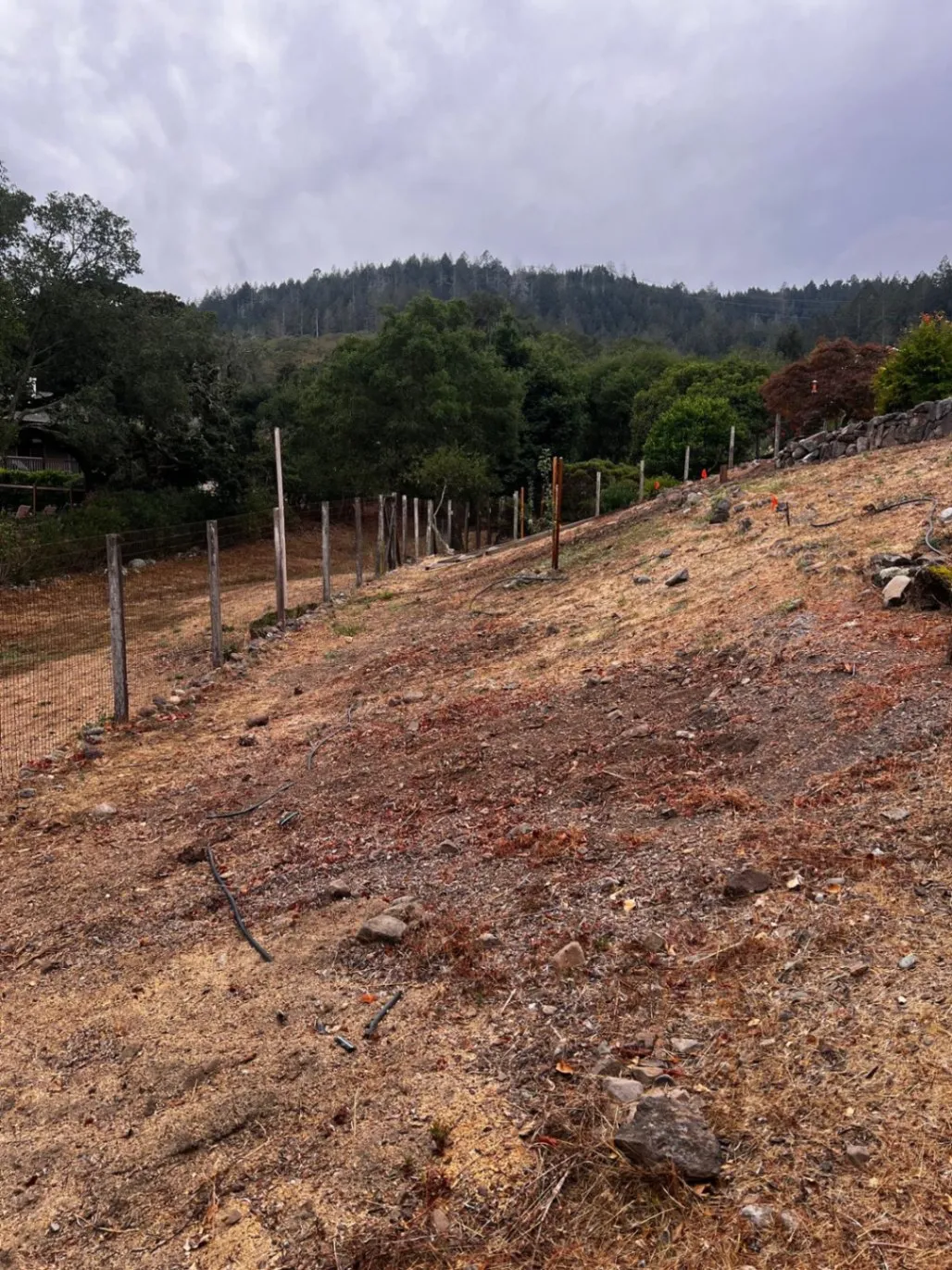Gallery image 188