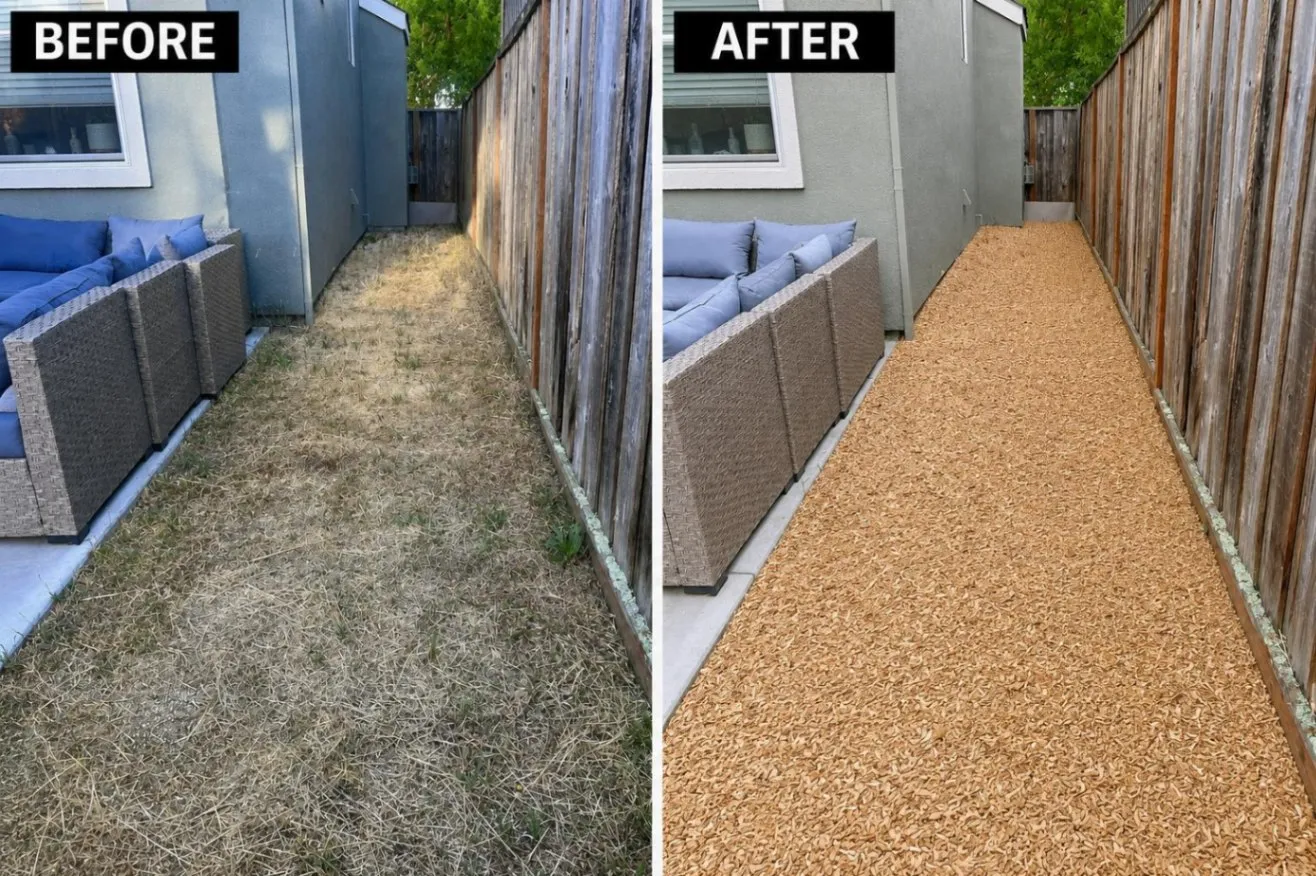 Gallery image 224