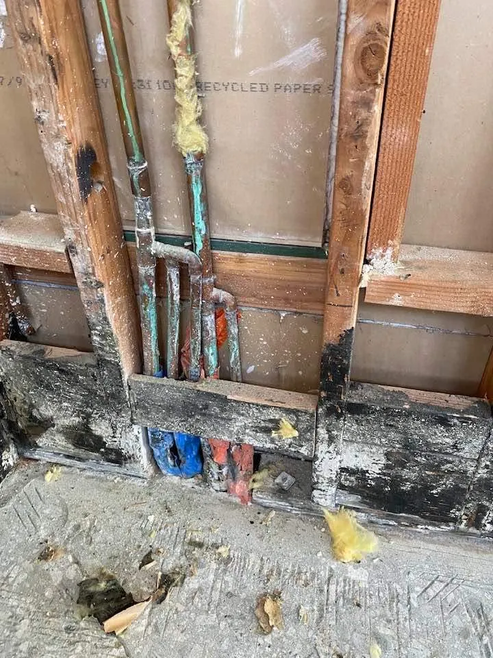 Gallery image 1