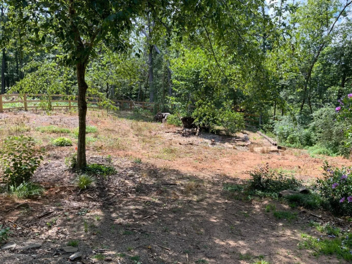 Gallery image 11