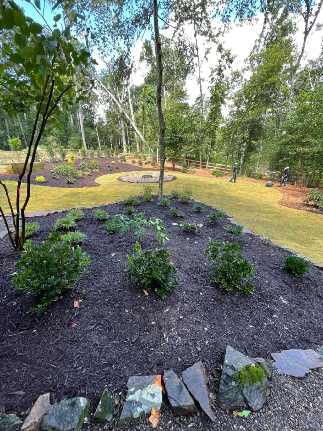 Gallery image 15