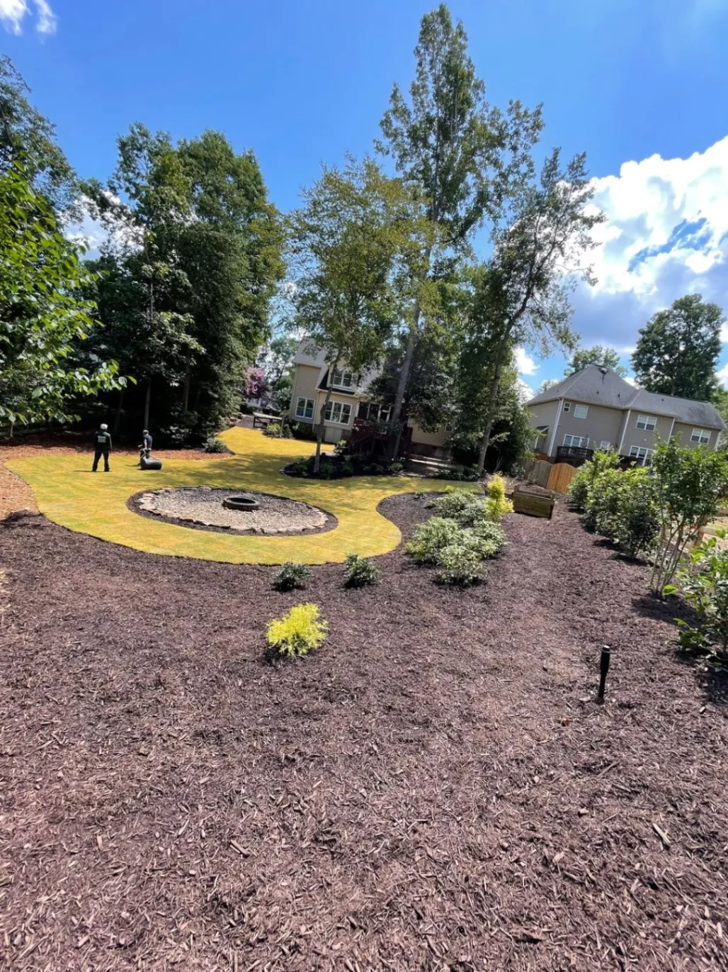 Gallery image 20