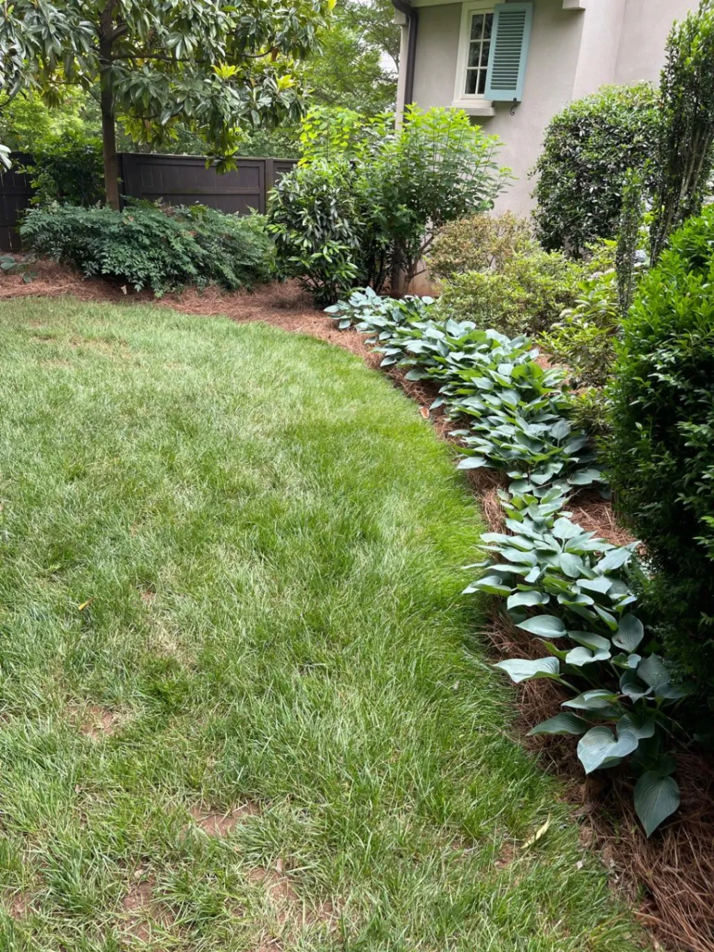 Gallery image 56