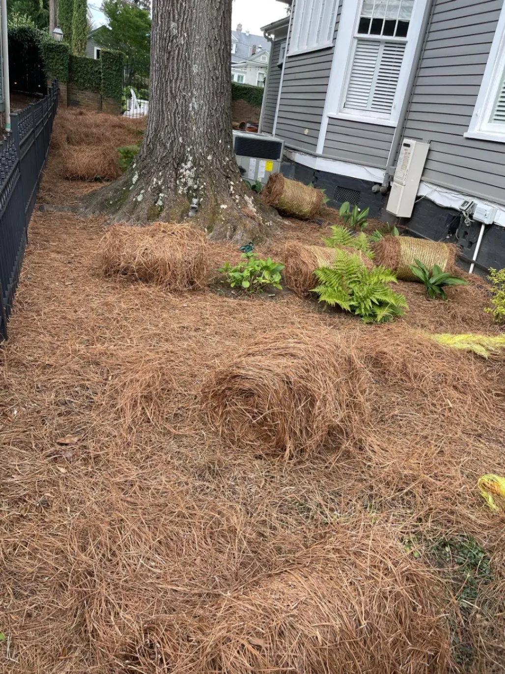 Gallery image 15