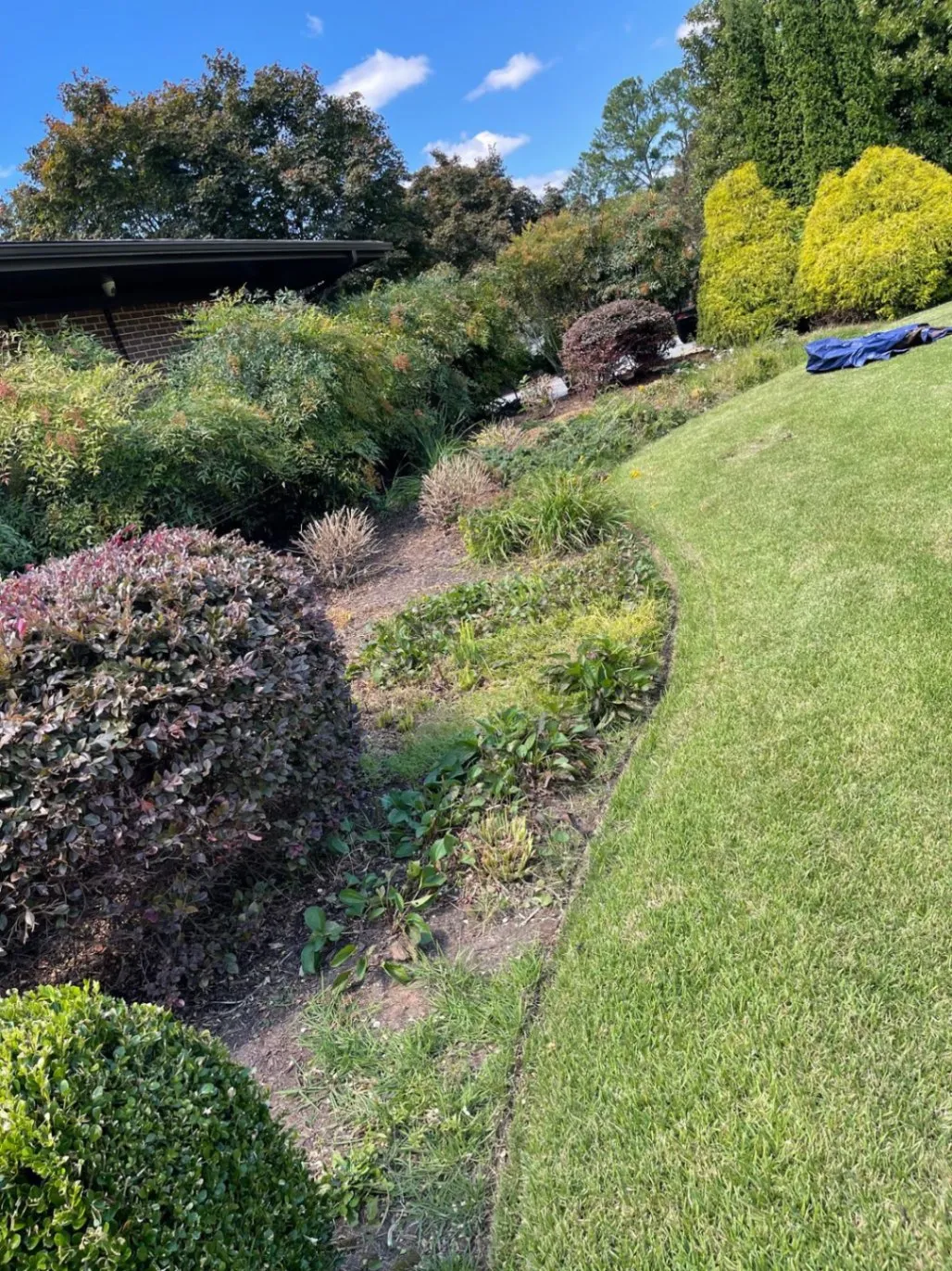 Gallery image 38