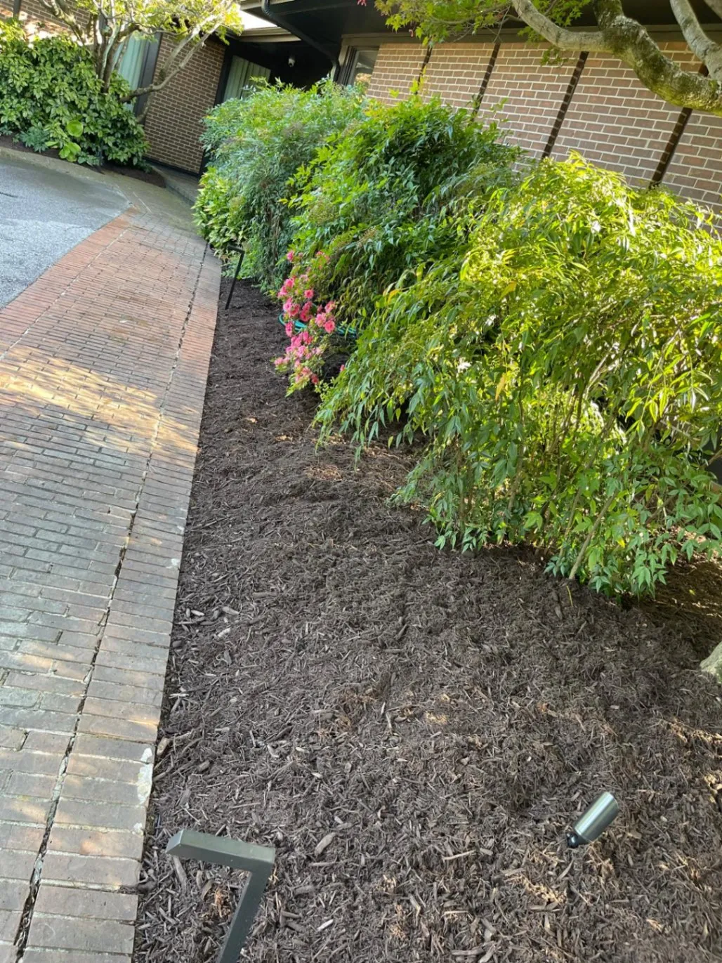 Gallery image 48