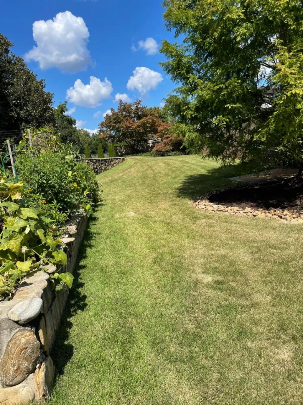 Gallery image 56