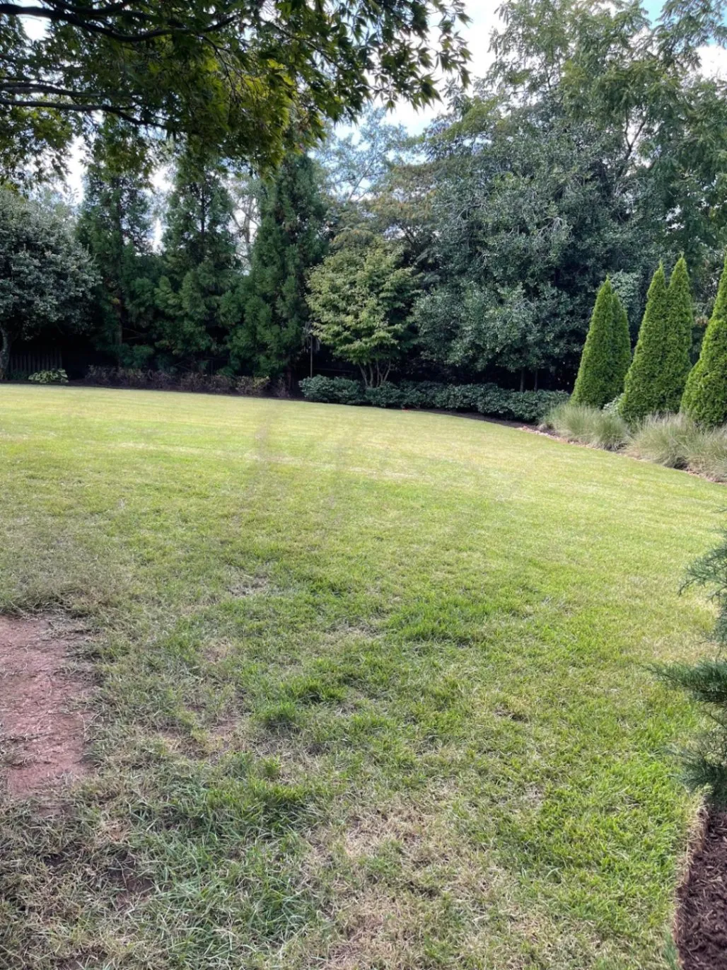 Gallery image 58