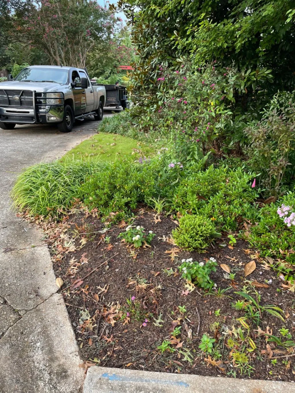 Gallery image 66