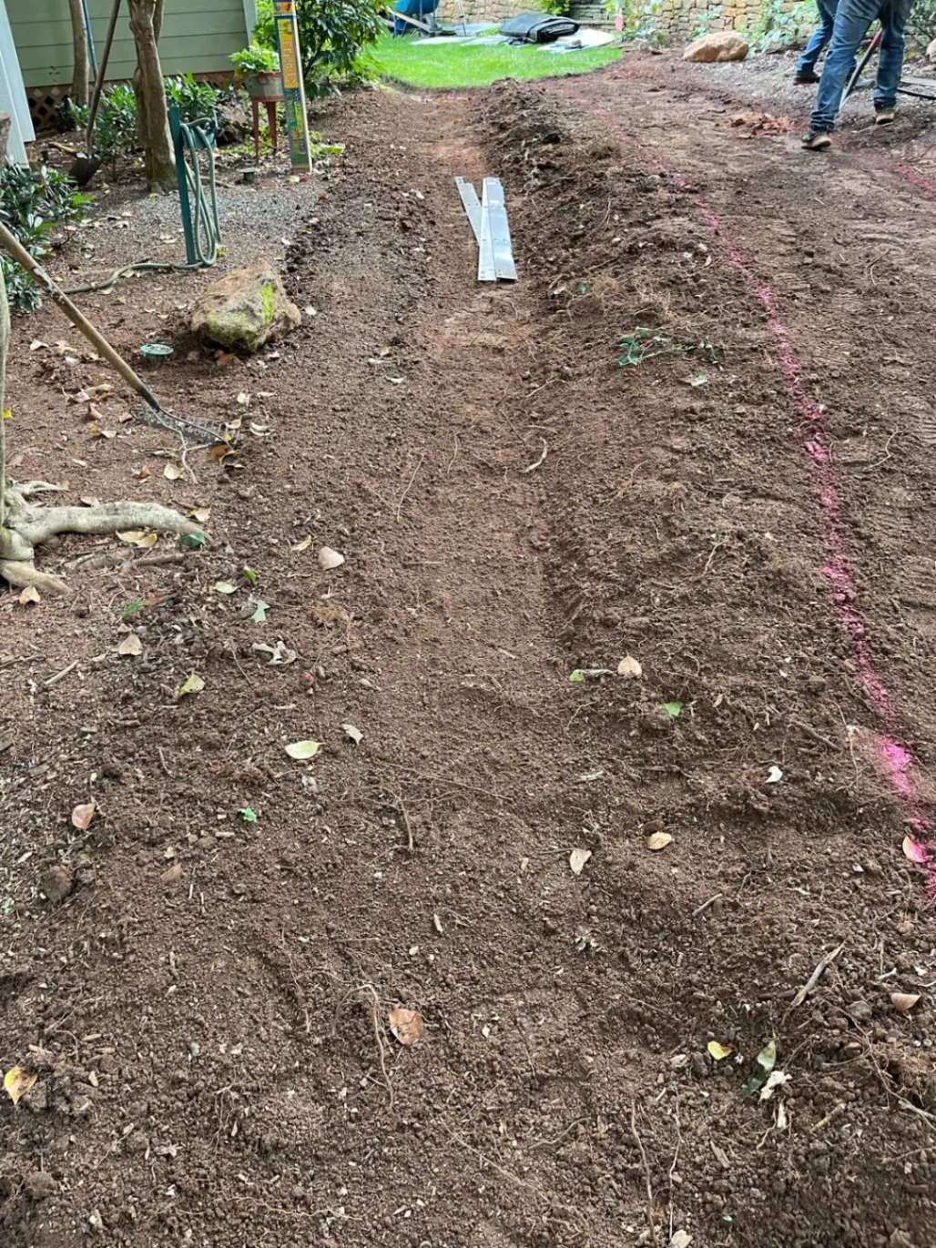 Gallery image 68