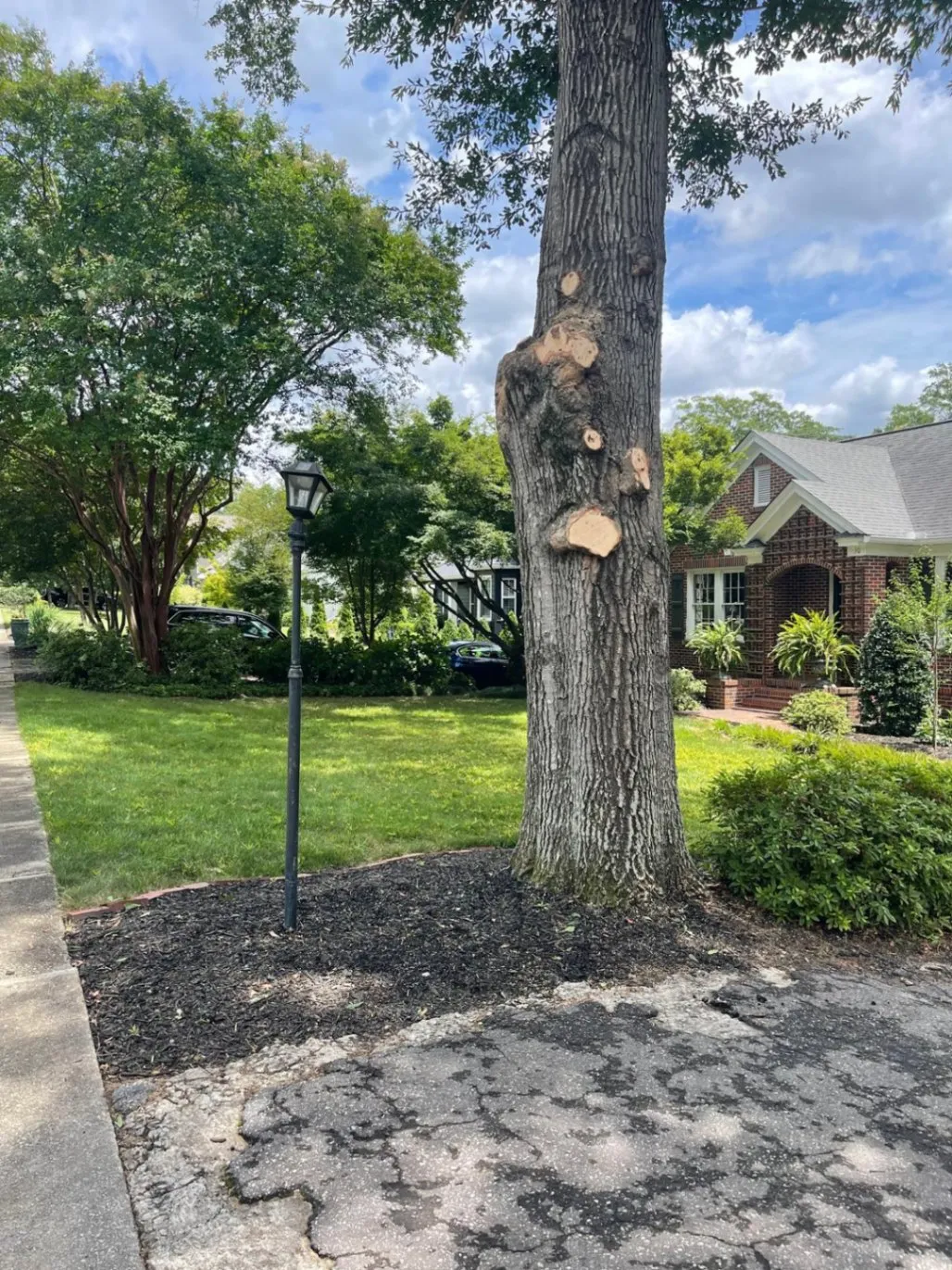 Gallery image 11