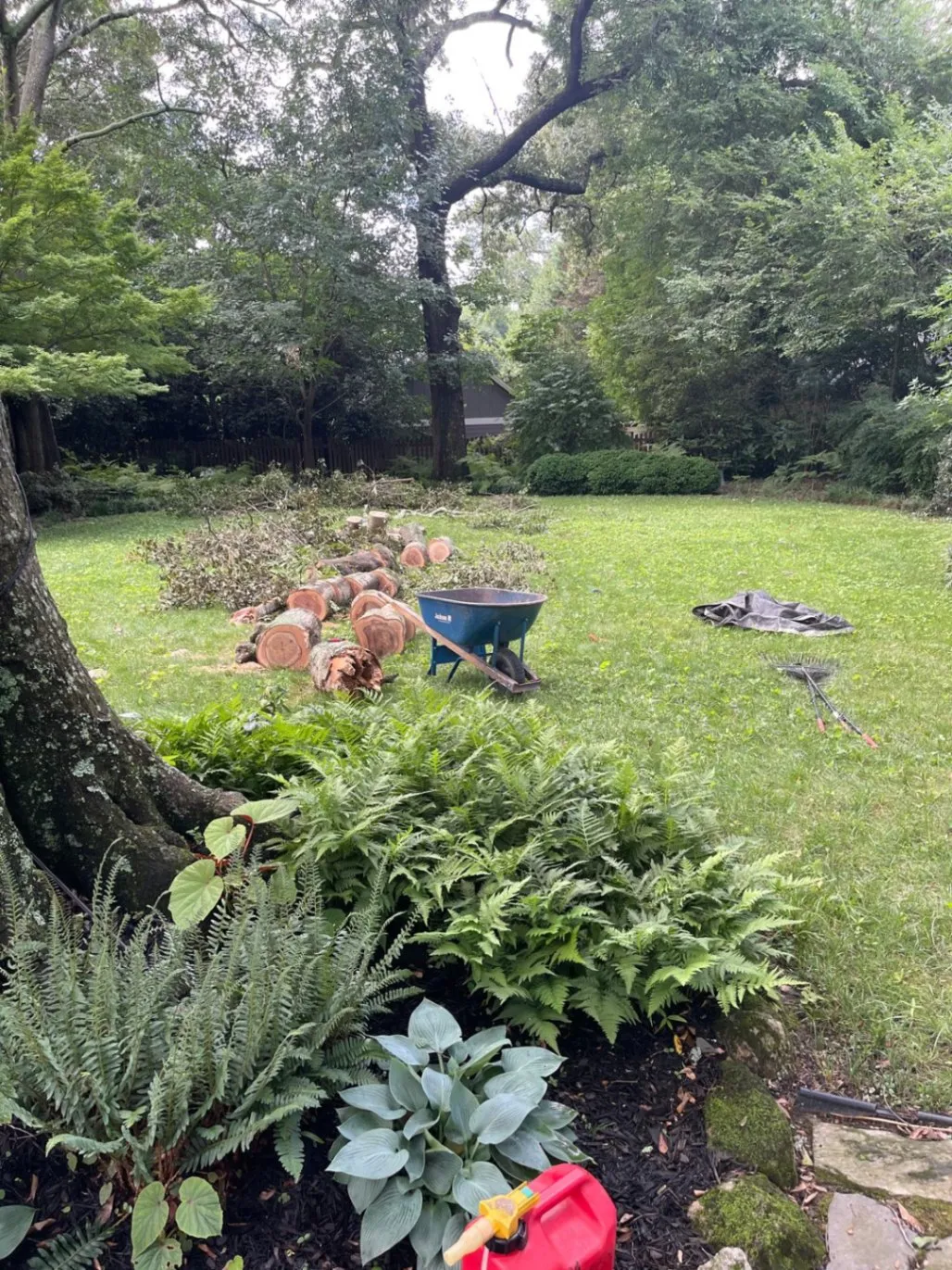 Gallery image 13