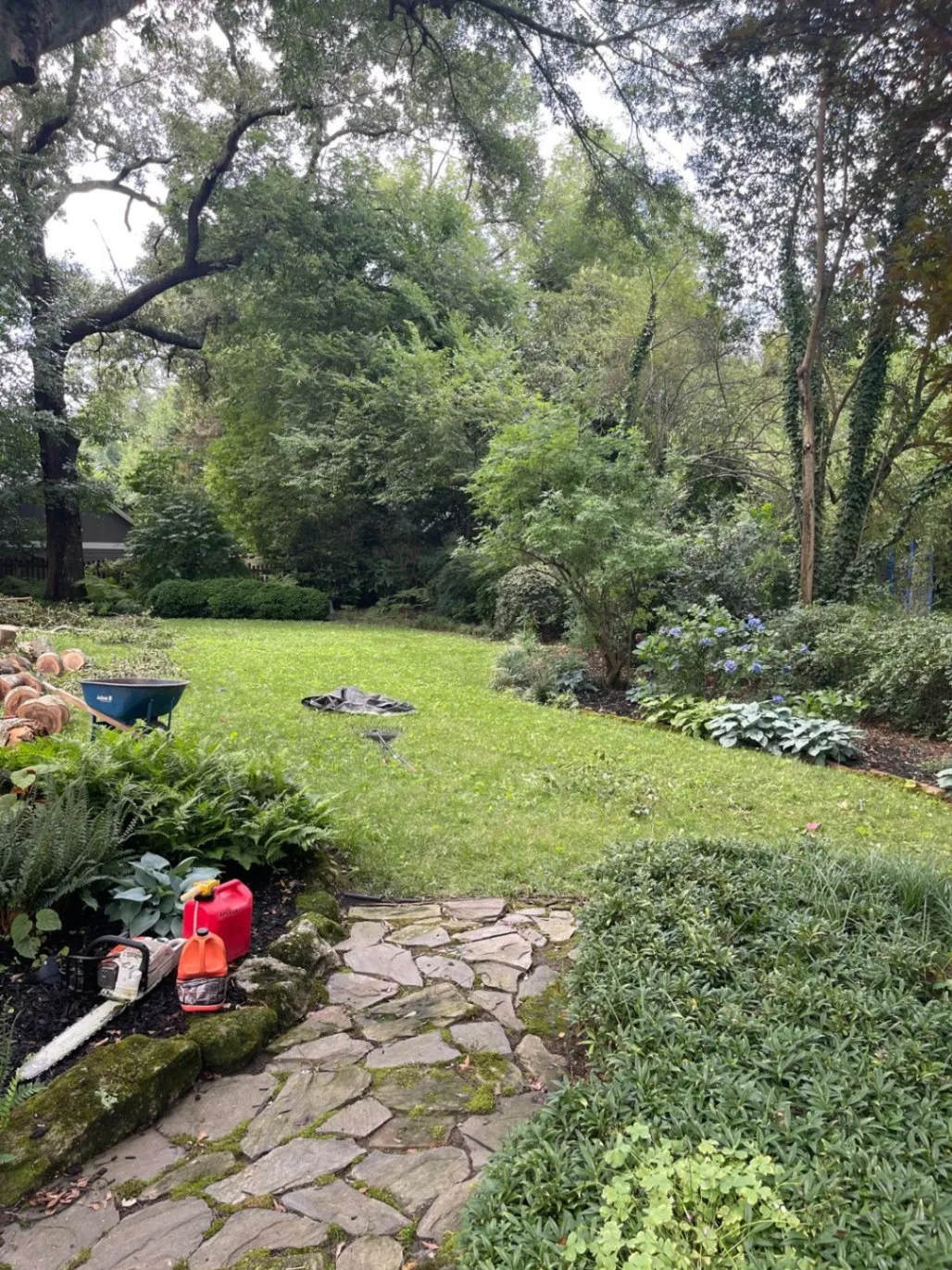 Gallery image 14