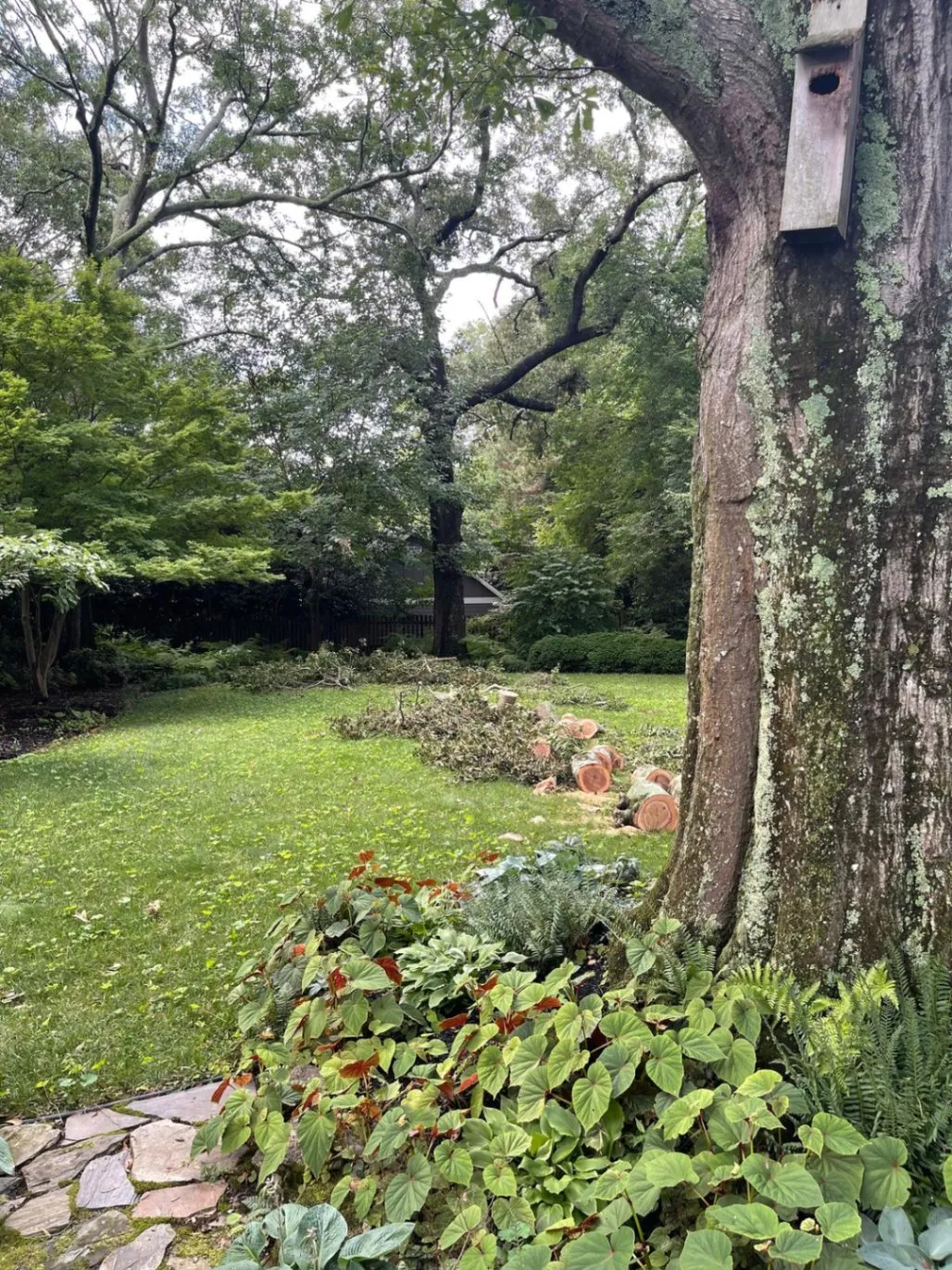 Gallery image 16