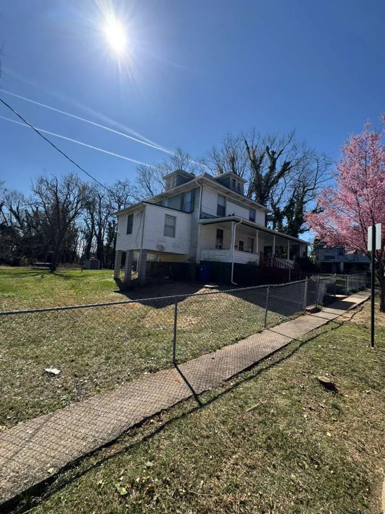 Professional Tree Pruning Services in La Plata, LA