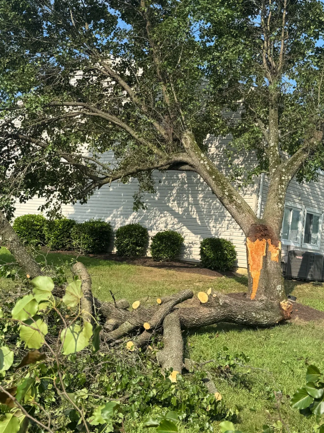 Gallery image 16