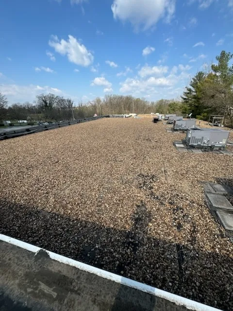 Gallery image 38