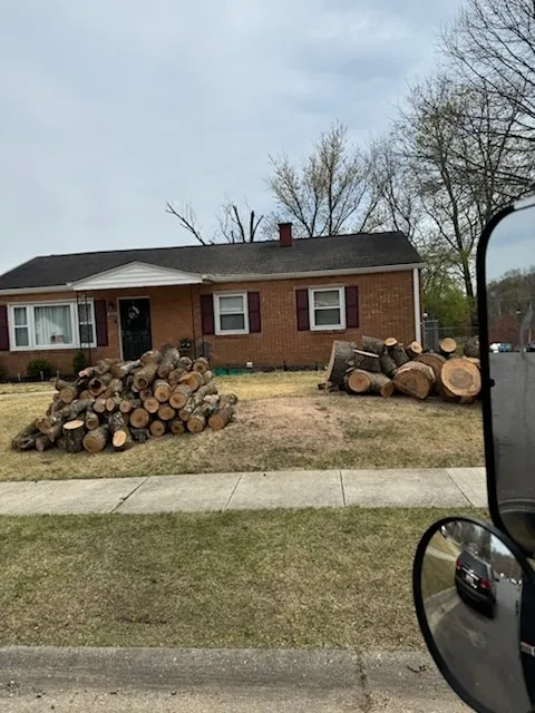Gallery image 48