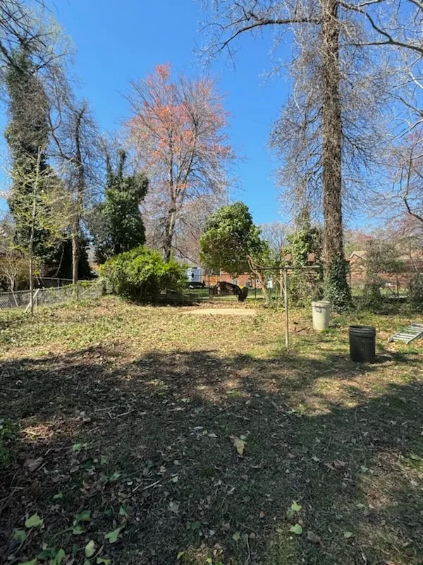 Gallery image 43