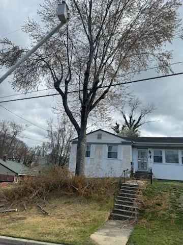 Gallery image 53