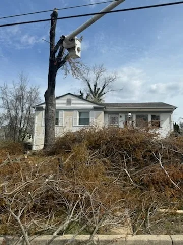 Gallery image 56