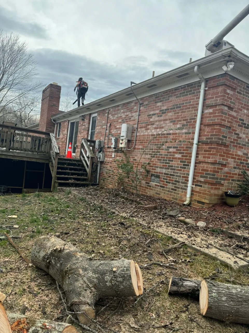 Gallery image 61