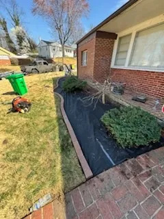 Gallery image 68