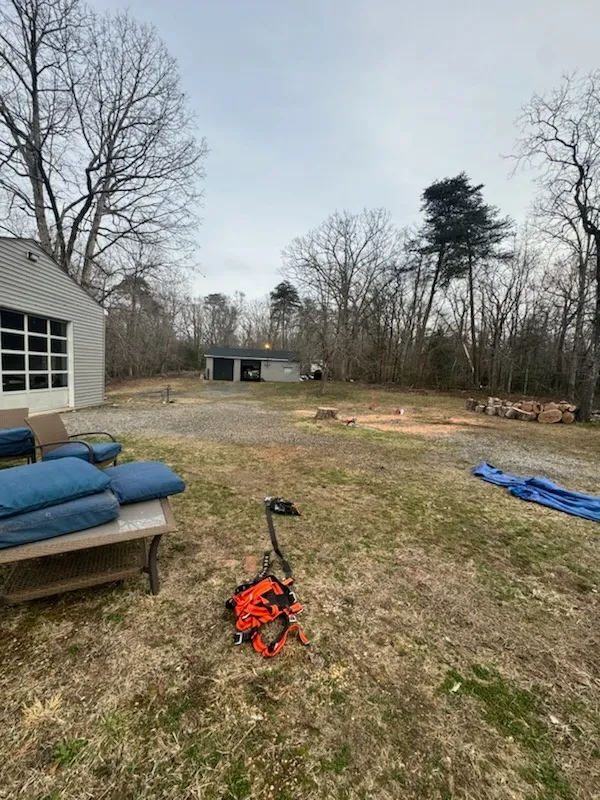 Gallery image 69