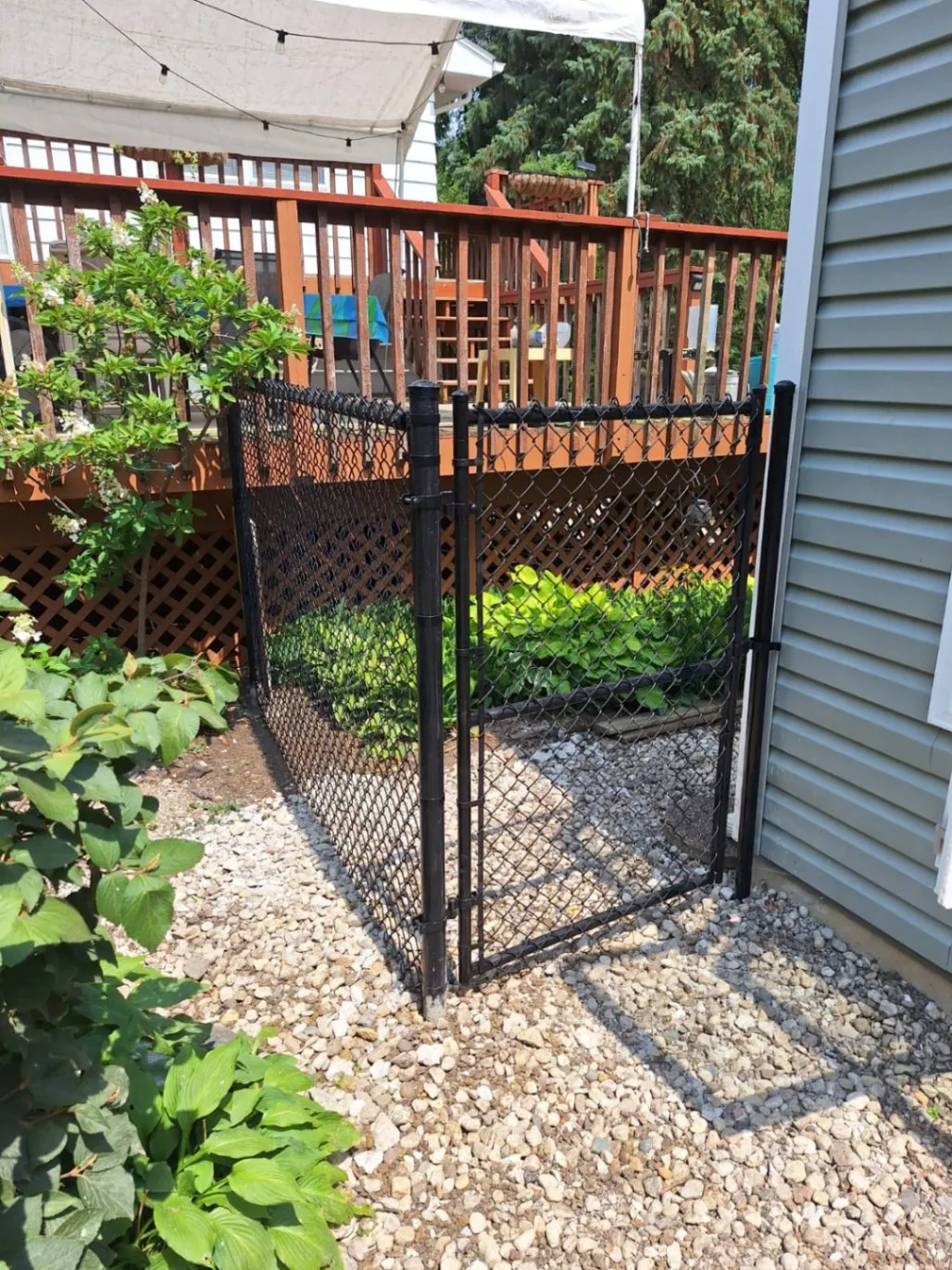 Gallery image 11