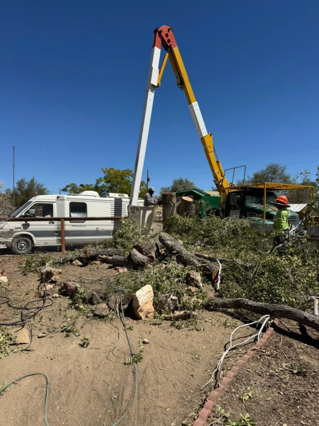 Medrano Trees Service