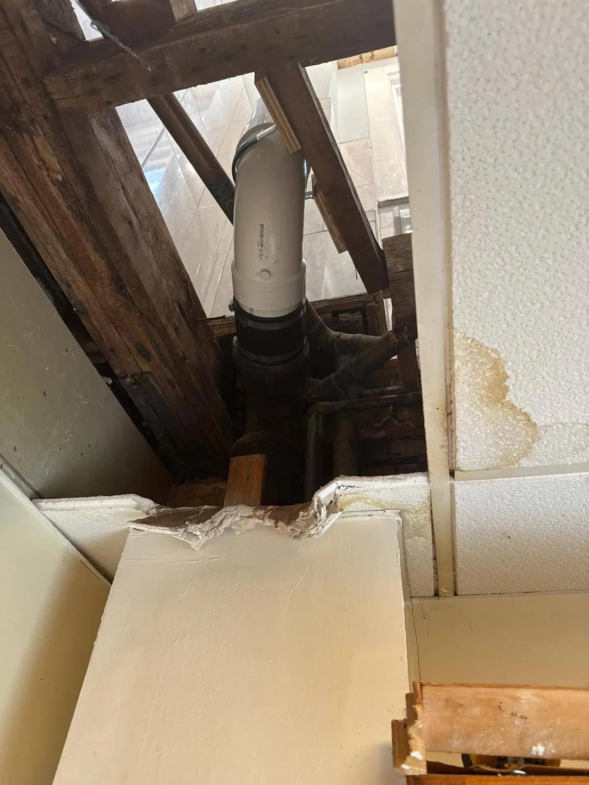 Gallery image 53