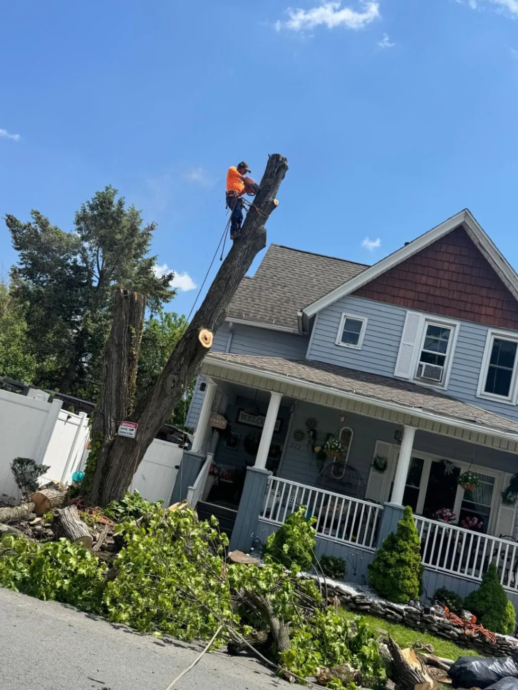 Gallery image 41