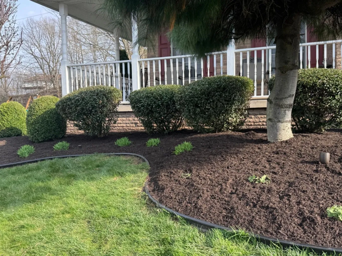 Ramos Landscaping & Tree Services LLC