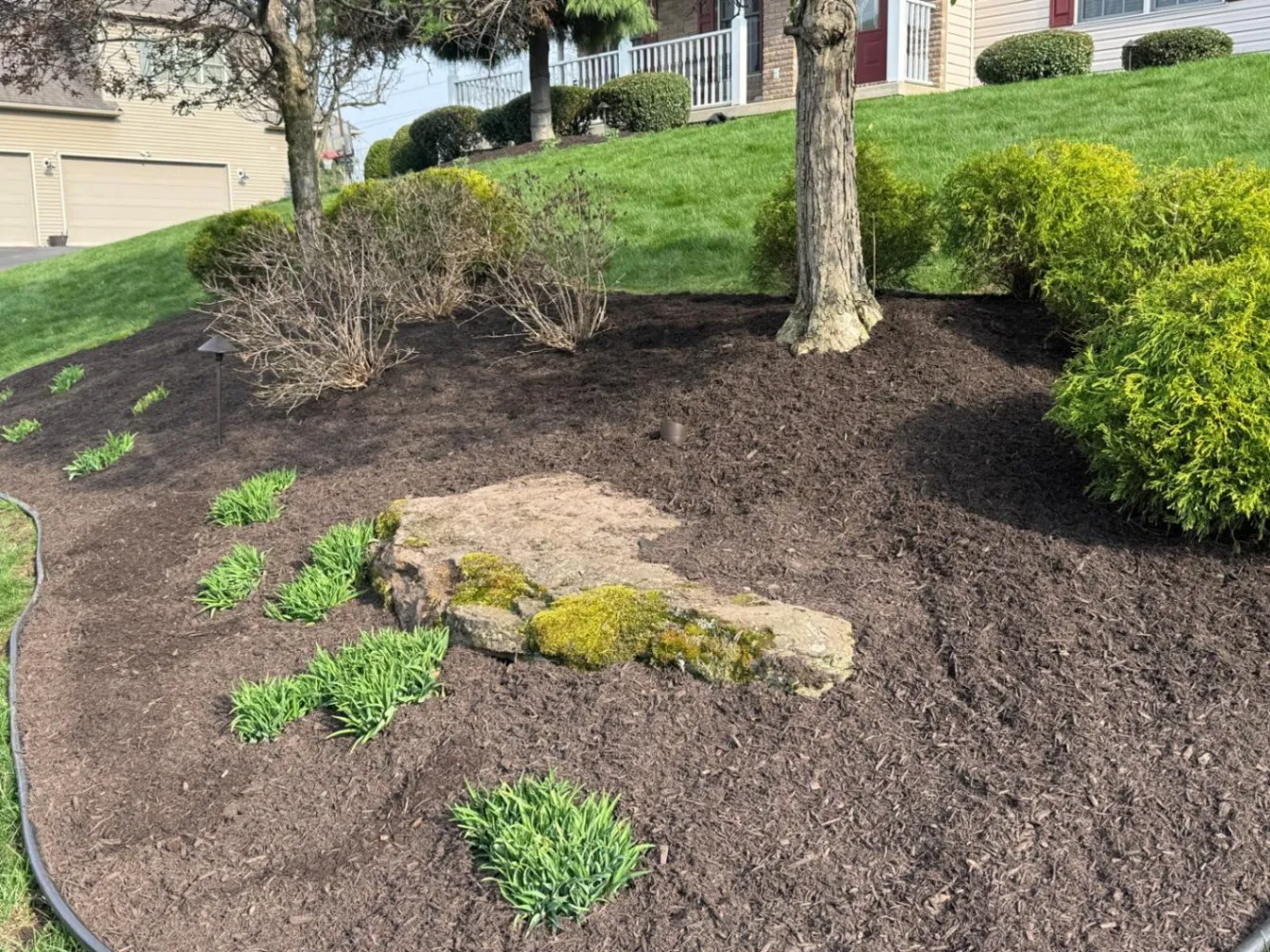 Ramos Landscaping & Tree Services LLC